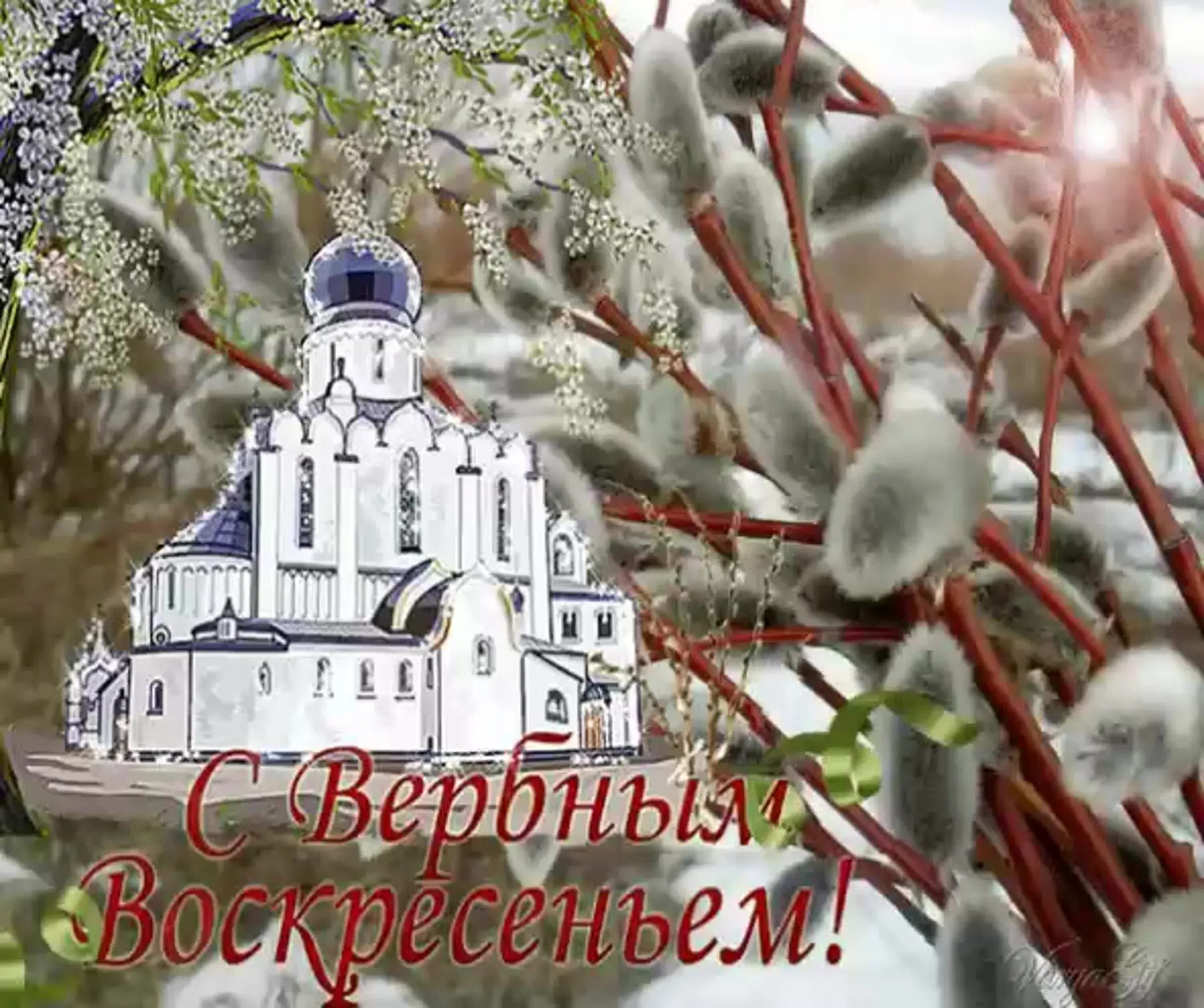 Вербное воскресенье пожелания. С вербным воскресеньем открытки. сквернгое воскресенье. открытки с верным воскресенье. открыт с вербным воскресеньем.