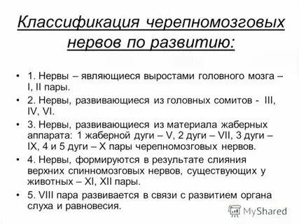 Черепно мозговые нервы характеристика