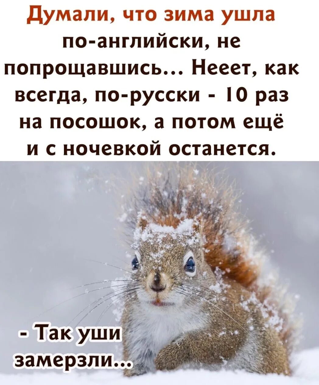 Думали что зима ушла по-английски. Плохая примета убирать зимние вещи раньше июня. Зима ушла по английски. Зимой думаешь. Зима уходит.