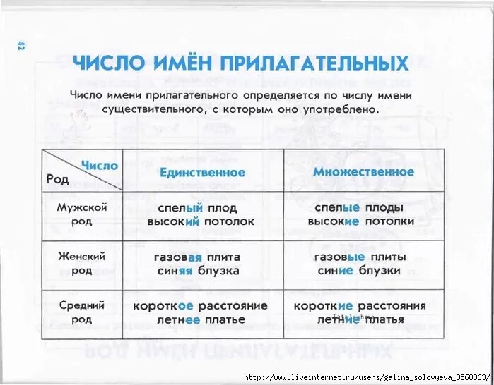 Род число имен прилагательных 3 класс карточки. Правила по русскому языку. Правило русского языка. Правила по русскому языку для начальных классов. Русский правила.