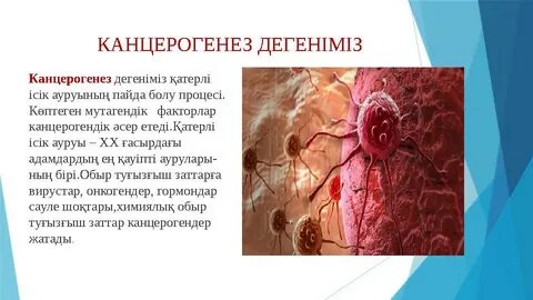 Интернеттегі секс видео