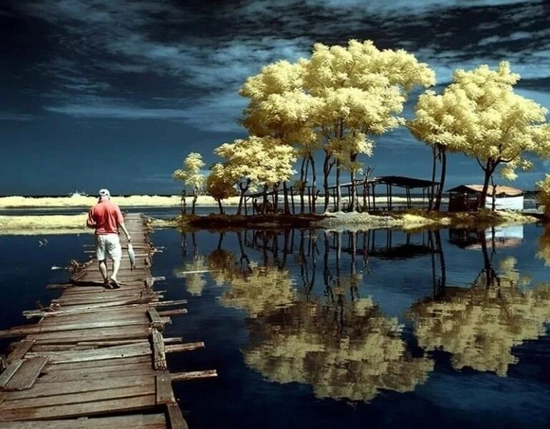 Песня в отражении воды. Отражение в воде. Отражение жизни. Отражение деревьев в воде.