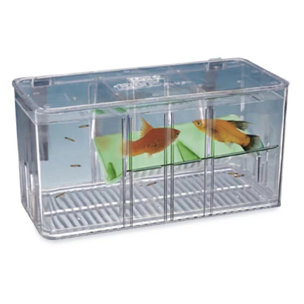 Отсадник для аквариума. Отсадник hagen marina multi breeder. отсадник penn-plax aqua nursery. отсадник для рыб penn-plax aqua nursery. отсадник для рыб трикси &quot;multi-plus&quot; 20х10х10см 8049.
