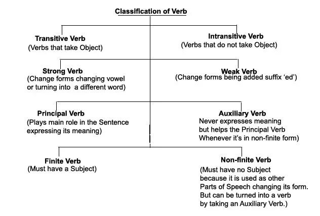 Verbs function. The verb. Classification of the verb.. Classification of verbs in English in Grammar. Classification of English verbs. The classification of the verb на русском.