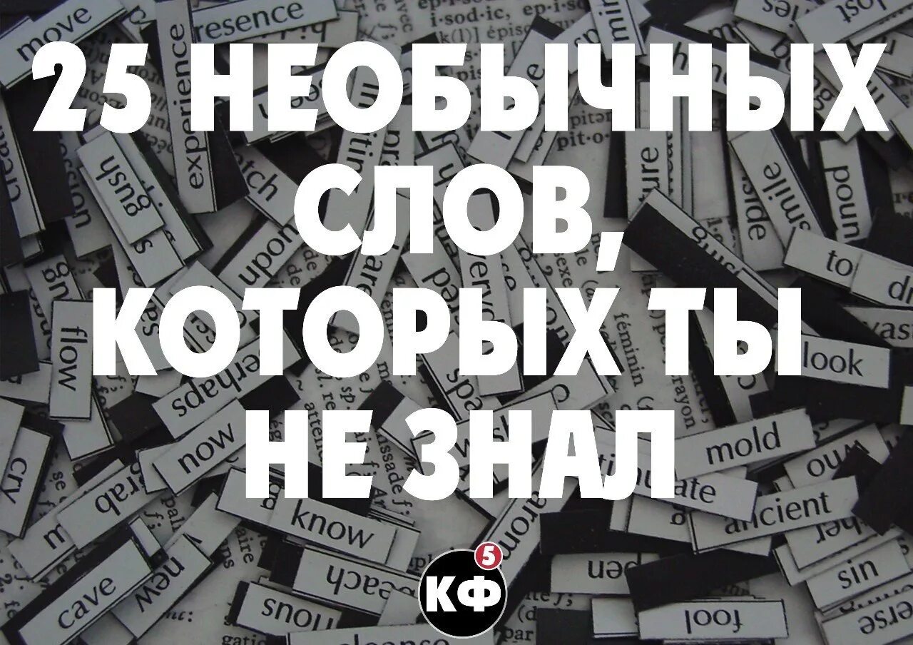 Сама странная текст. Необычные слова. Интересные необычные слова. Необычные странные слова. Красивые и необычные слова в русском языке.