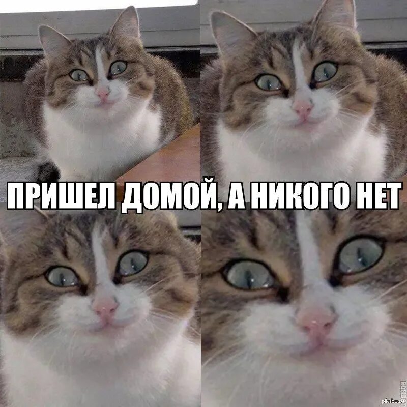 У них еще нет ни