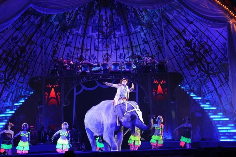 Корниловы цирк. Цирк дементьева-корнилова. Корниловы цирк. Шоу слонов андрея дементьева-корнилова. Анастасия дементьева корнилова дрессировщица.