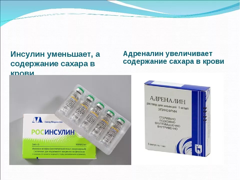 Адреналин повышение в крови. Уколы для снижения уровня инсулина. Лекарства для снижения уровня инсулина в крови. Таблетки для понижения инсулина. Таблетки для понижение инсцлина.