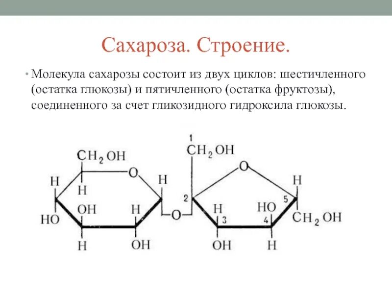 Экзамен сахарозы геншин импакт. Структурное строение сахарозы. Сахароза молекула структура. Сахароза строение макромолекулы. Строение сахарозы формула.