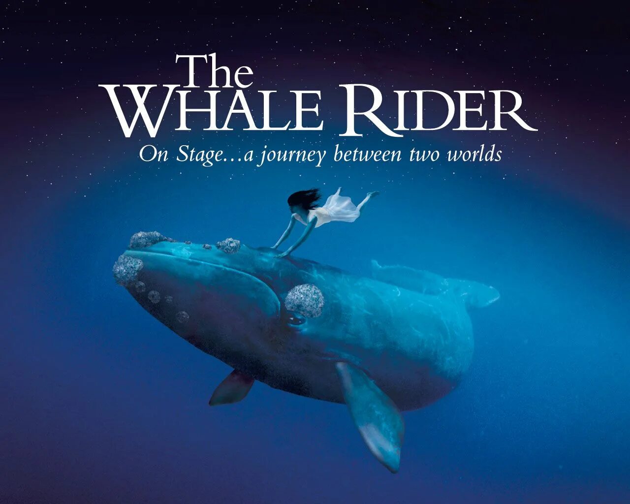 Whale Rider 2002. Оседлавший кита 2002. Journey between