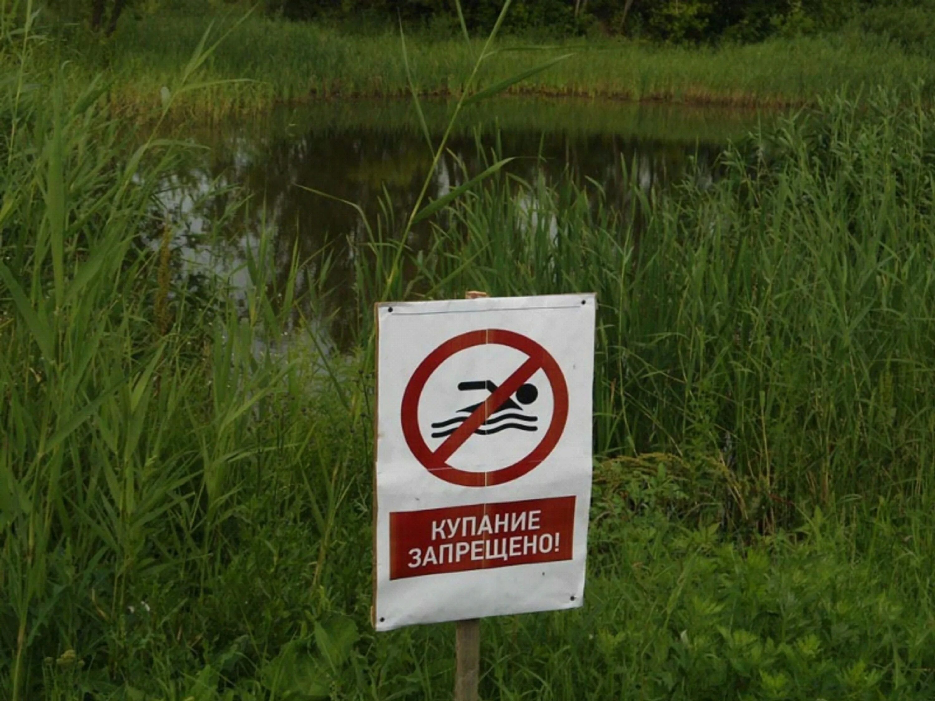 Купаться запрещено картинки. Купание запрещено табличка. Знак «купаться запрещено». Аншлаг купание запрещено. Табличка не купаться.