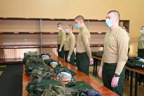 Призывников в год 1