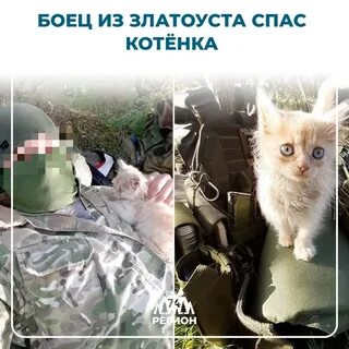 Спасли боец