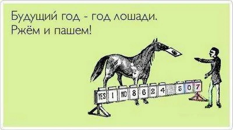 Поговорка коней на переправе. Конь не валялся. Шутки про лошадей. Смешные фразы про лошадей. Конь не валялся юмор.