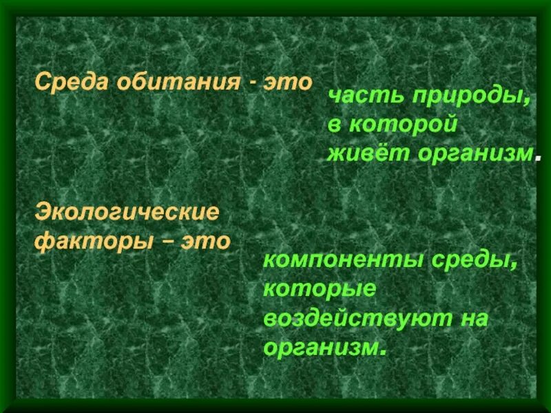 Факторы среды дать определение. Среда обитания. Экологические среды обитания. Экологические факторы среды. Факторы среды обитания организмов.