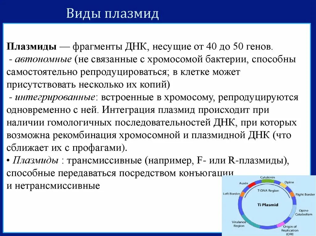 Плазмиды характеристика