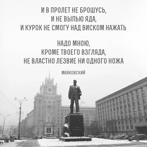 Надо мною кроме твоего. И В пролет не брошусь. Стих и в пролете не брошусь. Маяковский и в пролет не брошусь и не.