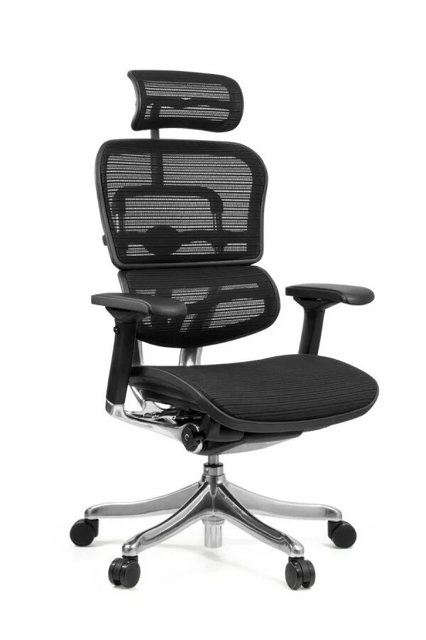 Comfort seating. Comfort seating ergohuman plus. ergohuman plus mesh. кресла эргохуман. кресло офисное комфорт.