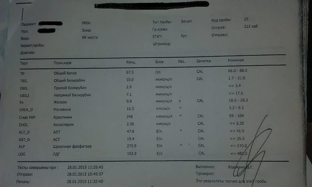 Диагноз по анализу крови. Диагноз лейкоз. Диагноз лейкемия. Диагноз лейкоз справка. Диагноз острый лейкоз крови справка.