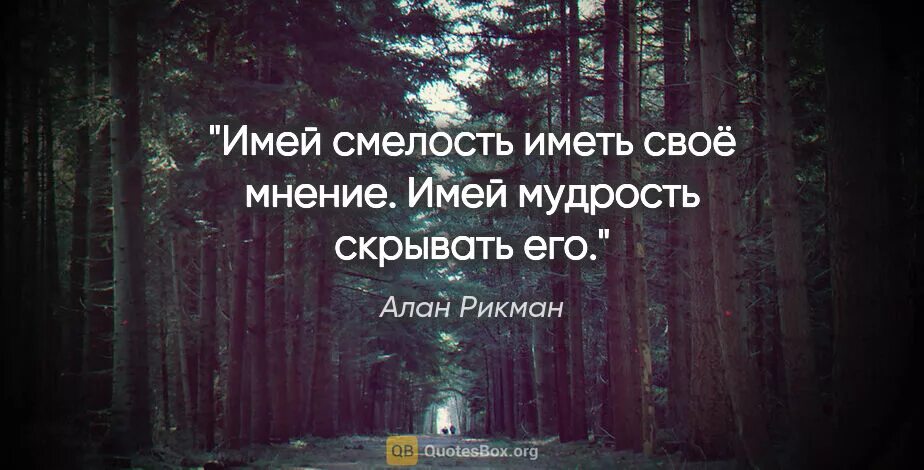 имейте мужество. имей мужество пользоваться своим умом. высказывания хеллингера. кант имей мужество. имейте мужество.
