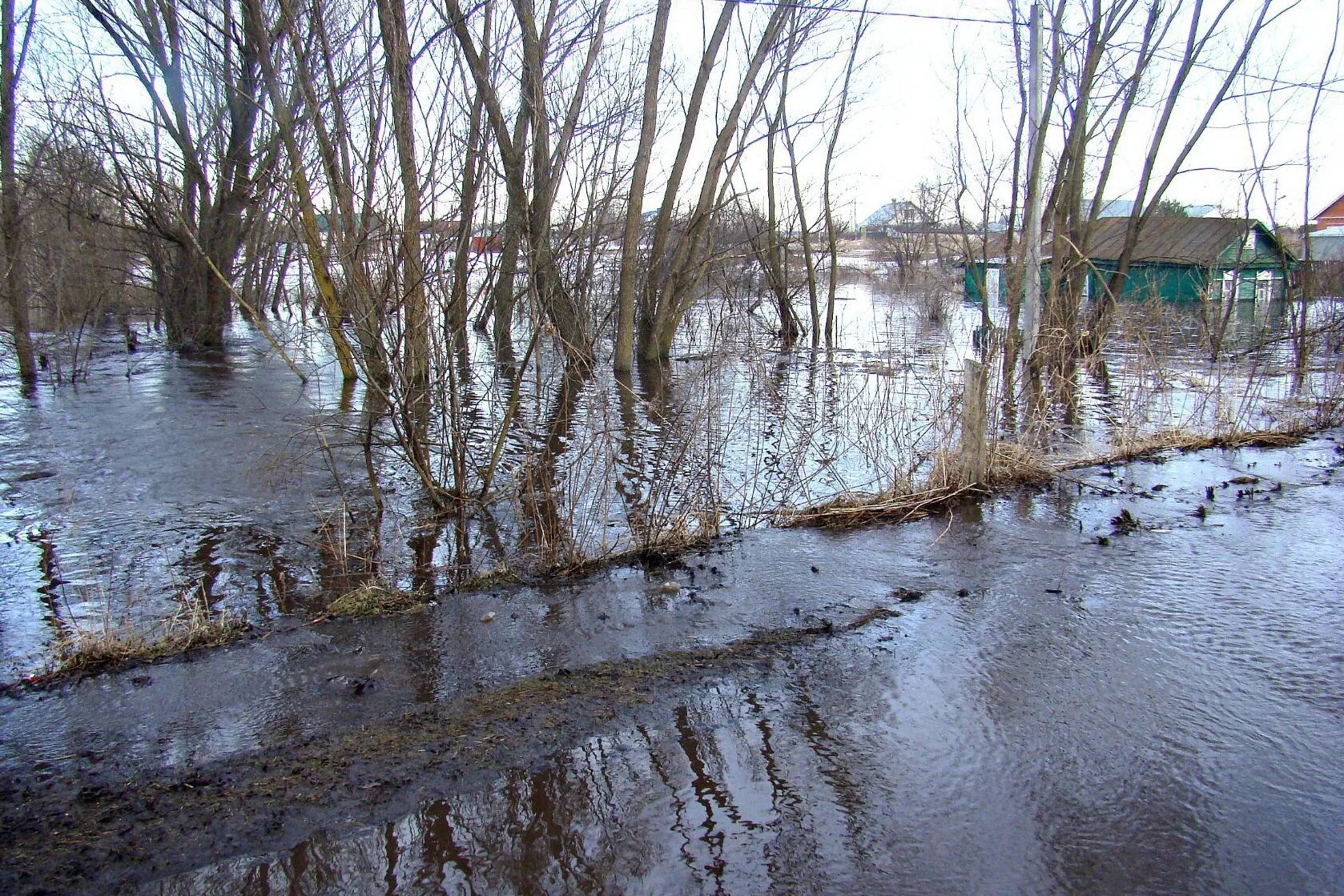 Залитая в половодье 6 букв. Половодье в тамбовской област. паводок. весенний разлив. весеннее половодье.