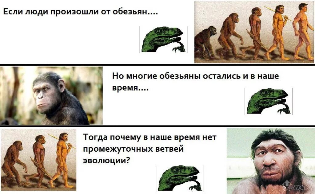 Объясни тогда