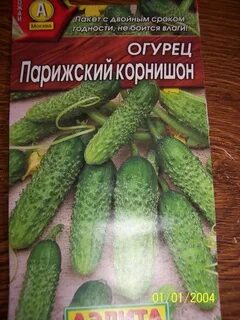 Огурец парижский описание