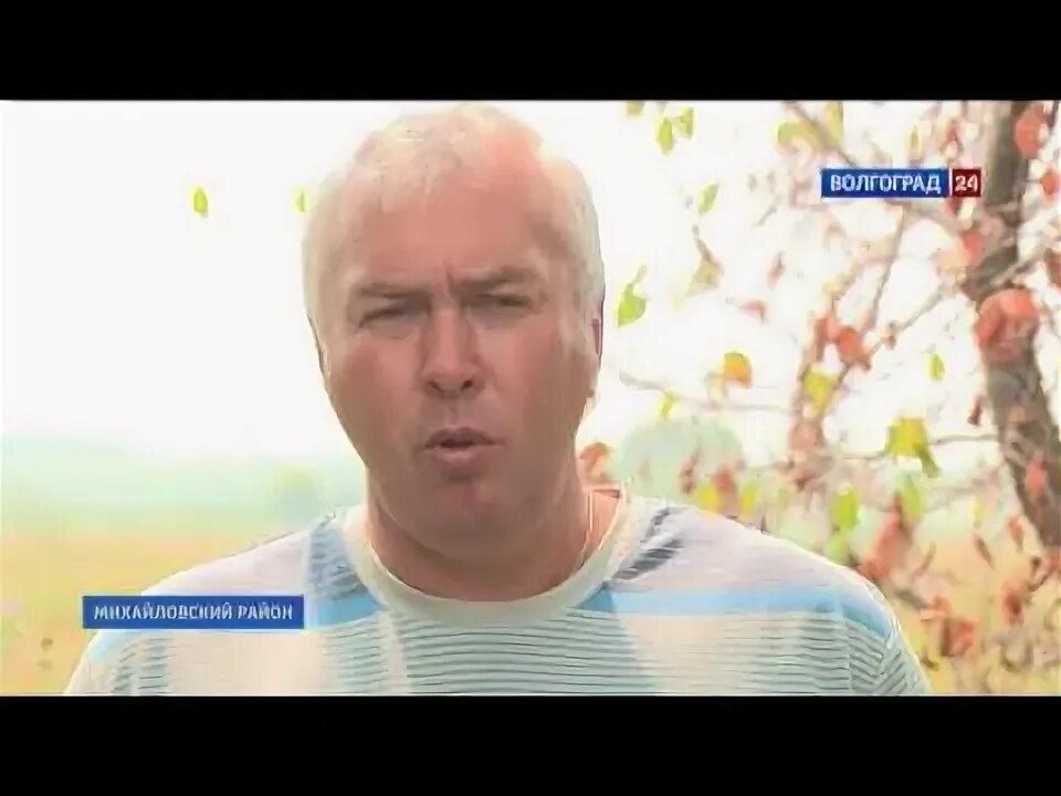 Погода плотников 2 волгоградской области михайловский район. Плотников 2 Михайловский район Волгоградской области. Хутор Плотников 2 Михайловский район. Гришин Волгоградская область. Хутор Гришин.