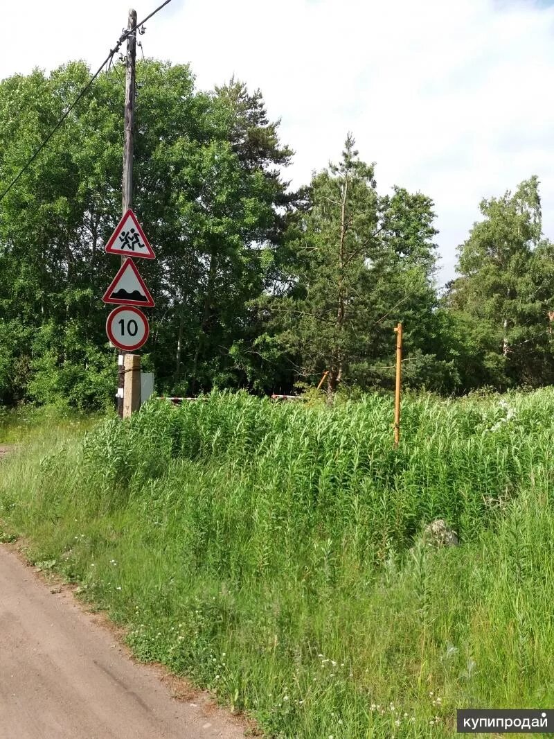 Участок в приморском районе спб. П Вязы Ленинградская область. Участки в Приморском. 100 Км СПБ Приморск участки. Кому давали участки в Приморске.