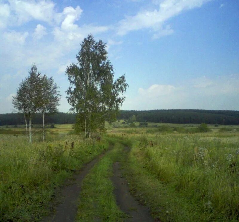 Богатства нашей родины. Лес богатство нашей Родины. Картинки о богатстве нашей Родины. Фото богатства нашей Родины. Великая богатство нашей Родины.