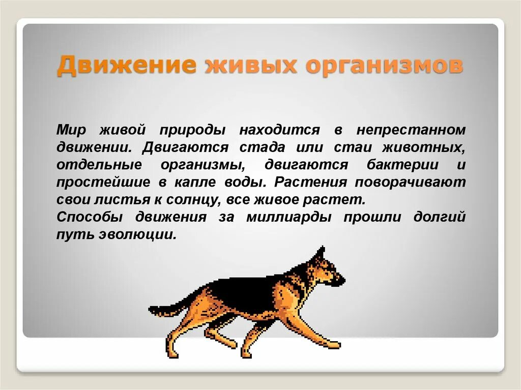 Движение живых организмов. Движение живых организмов презентация. Животные способы движения. Движение животных кратко.