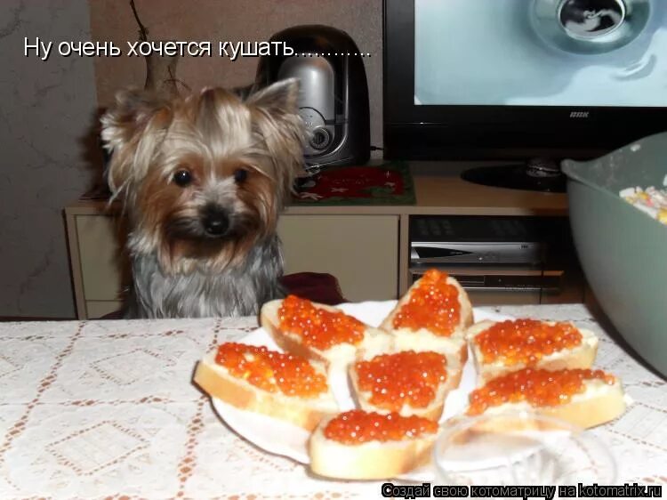 Опять эти ваши добрые утры. Очень хочу кушать. Девушка и сладкое. Наслаждение от еды. Как распознать физический голод от эмоционального.