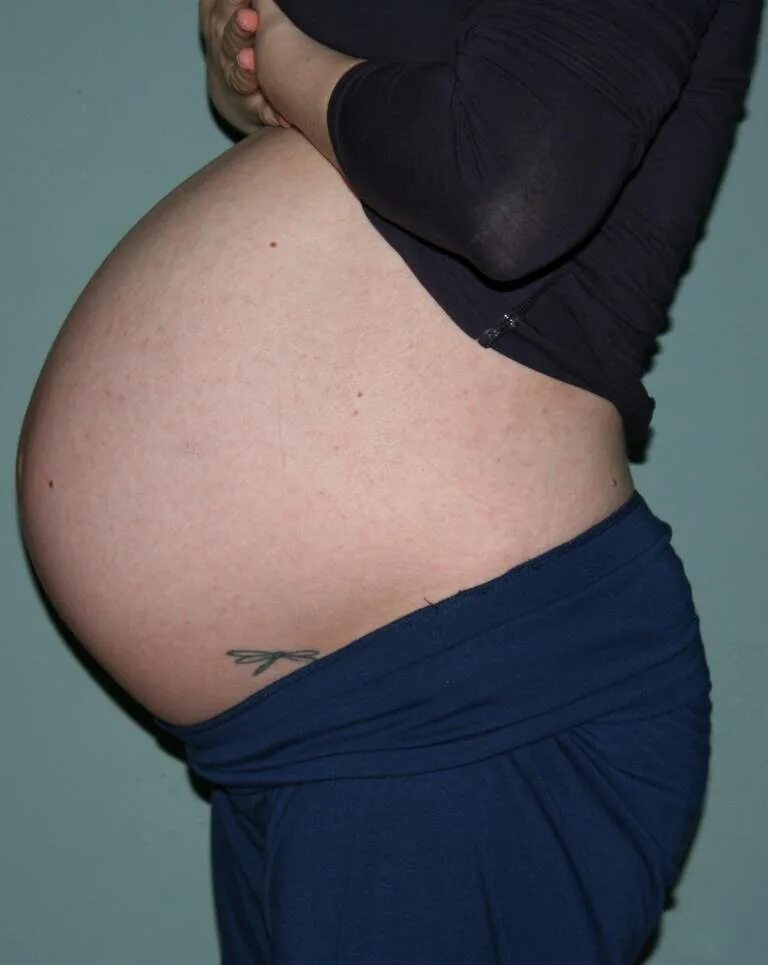Живот на 26 неделе беременности двойней. 26 Неделя беременности живо. Животик беременных на 26 недели. Живот на 25-26 неделе беременности.