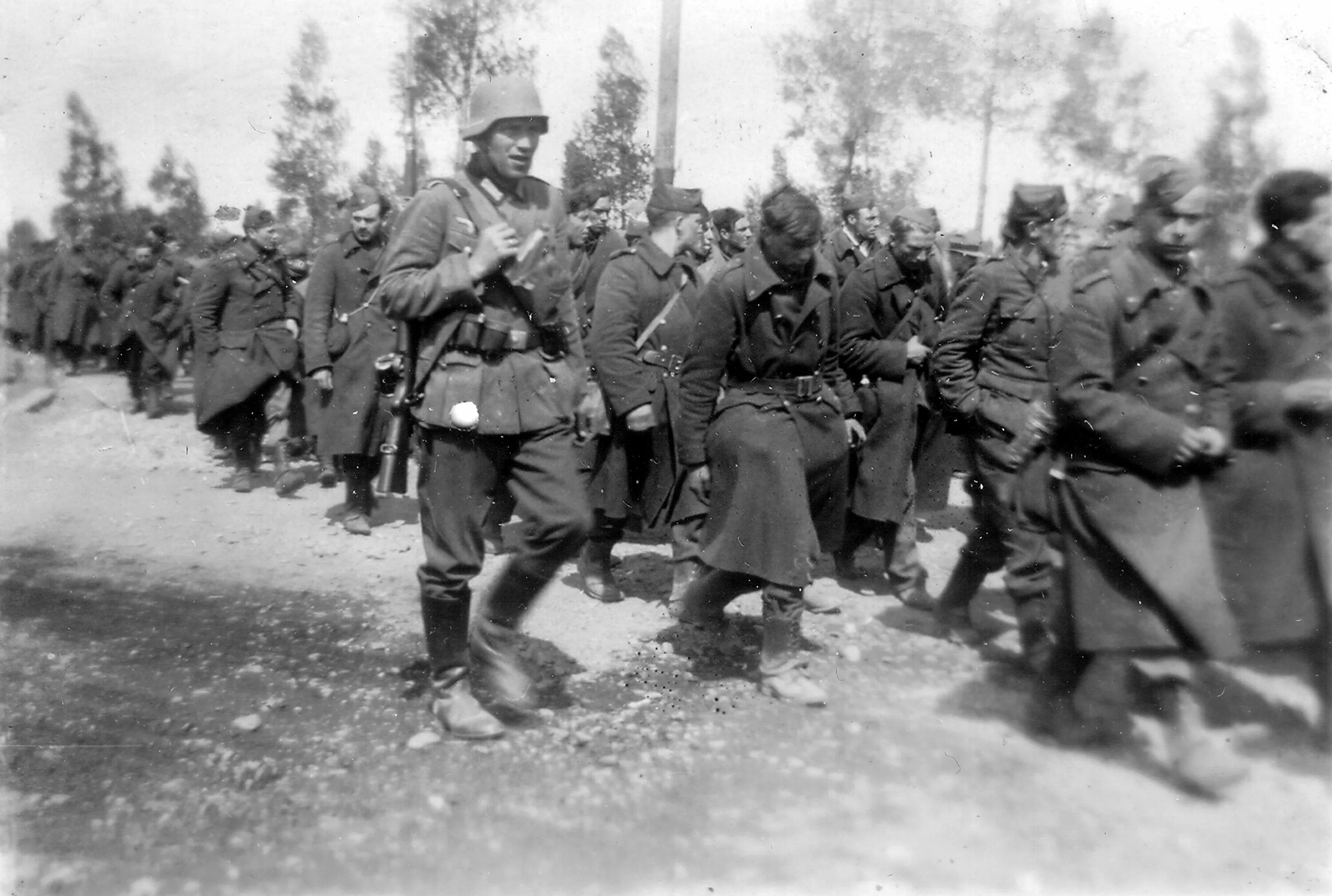 Попадет в плен к французам. Пленные польские солдаты 1939. Пленные французы 1940. Немцы конвоируют пленных. Польские военнопленные 1939.