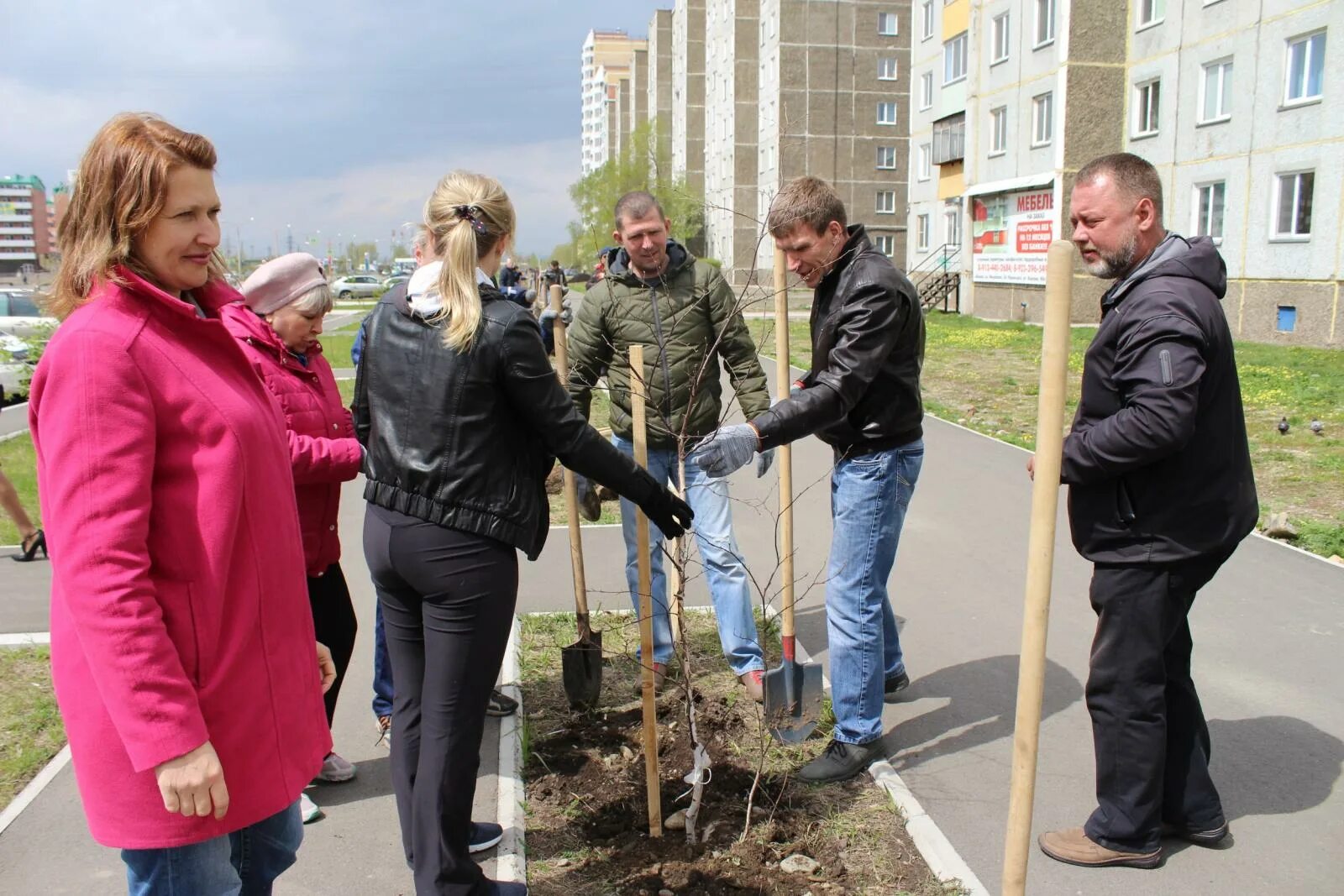 Работа аллея абакан. Ирина нежевец абакан. озеленители в абакане. абакан озеленение. нежевец наталья геннадьевна.