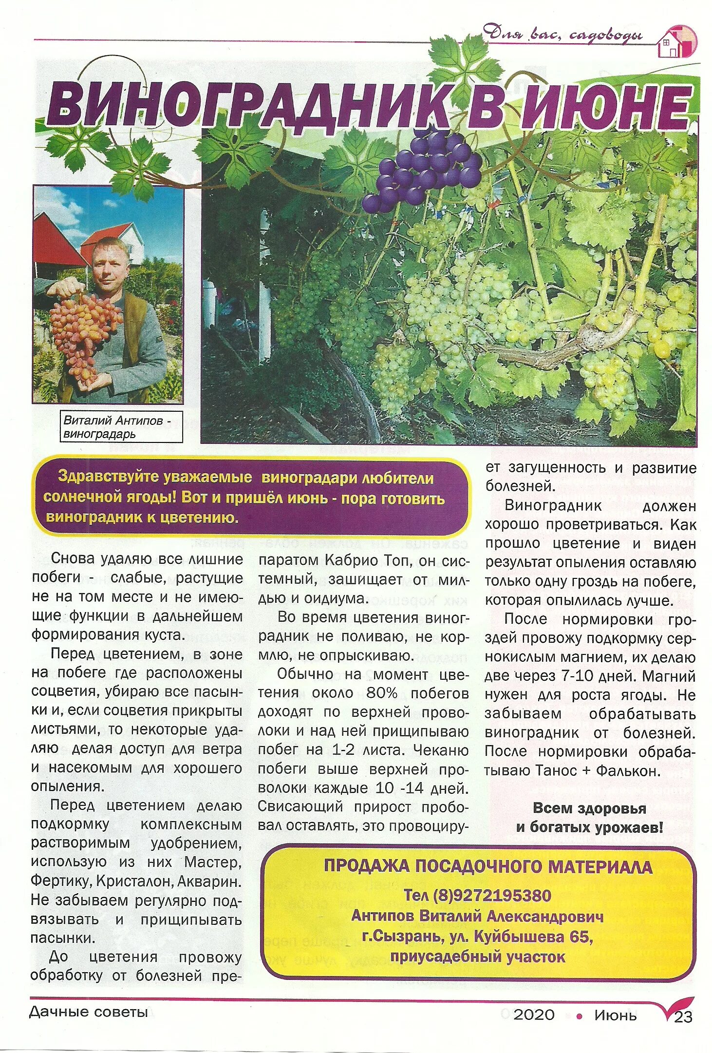 дачные советы с галиной. садовые советы. дачные советы с галиной. дачные советы. дача советы.