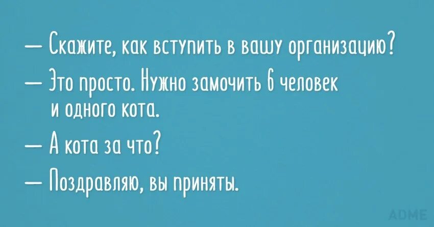 Скажите как вступить в Вашу организацию. Цитаты 22 смешные. Анекдот а кота то за что. Анекдоты за людей за 30. Поздравляем вы приняты