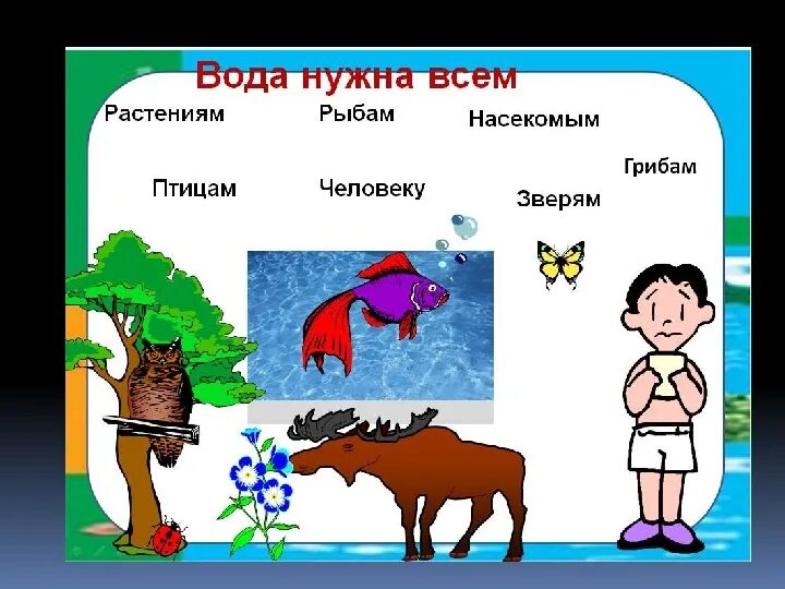 Для каких целей нужна вода. Кому нужна вода. Зачем нужна вода. Зачем нужна вода человеку. Почему человеку нужна вода.