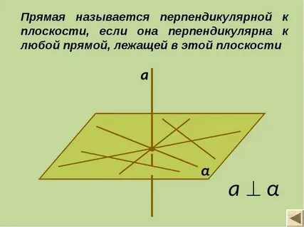 Смежные стороны перпендикулярны
