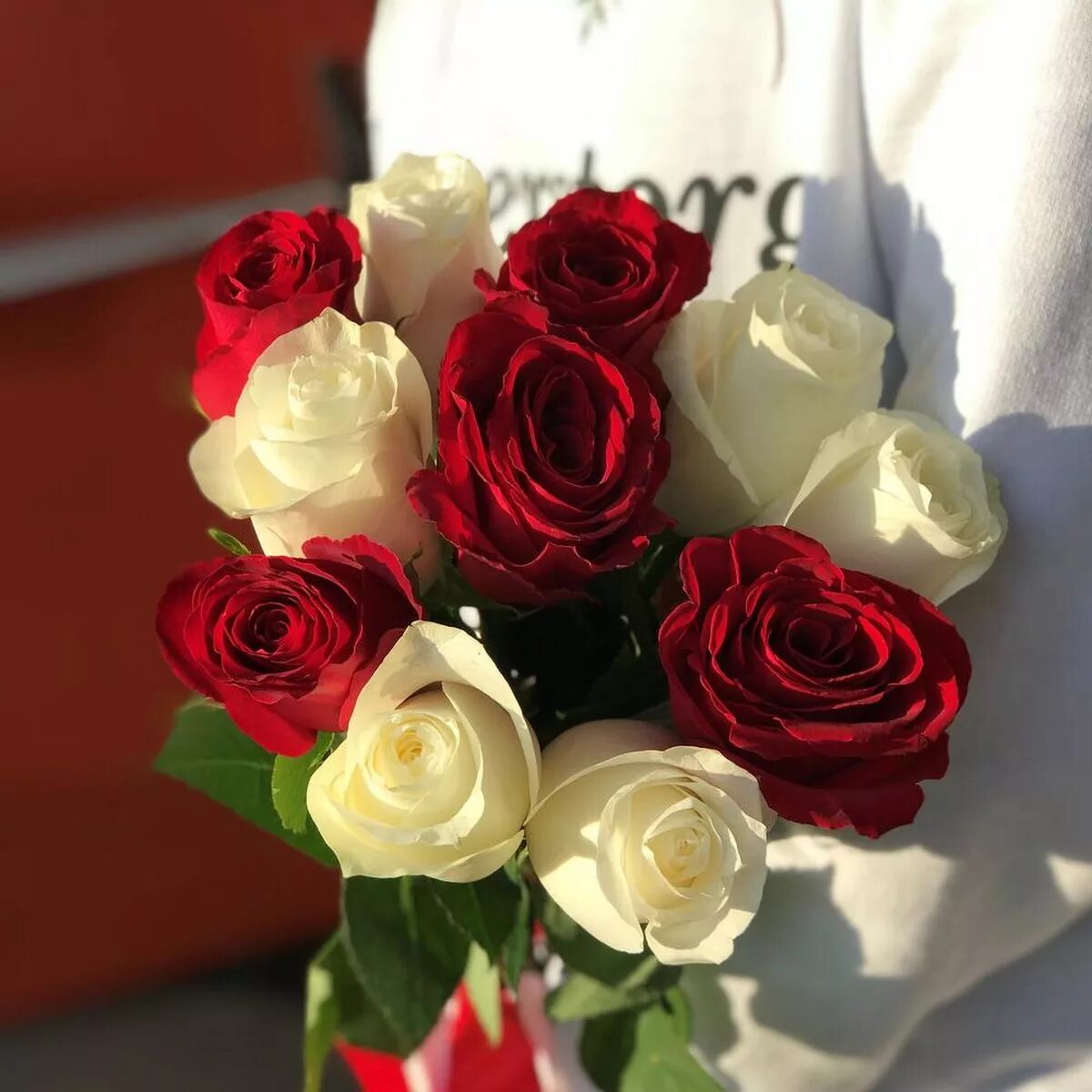 Букет роз 11 штук. Букет красных роз. Букет из белых и красных роз. Букетиз РЛЗ белых и красных. Розы красные и белые.