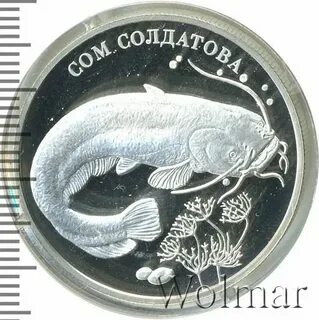 Сом1 каталог