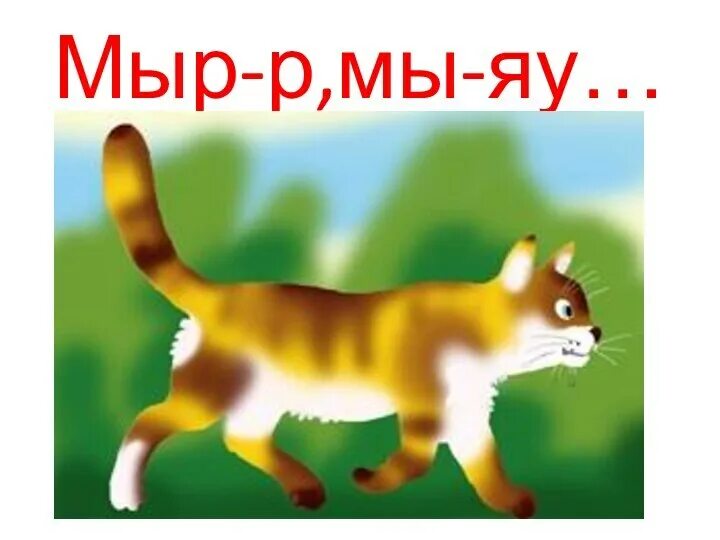 Мыр