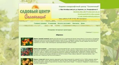 Солнечный каталог
