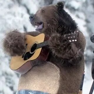 На чем играл медведь
