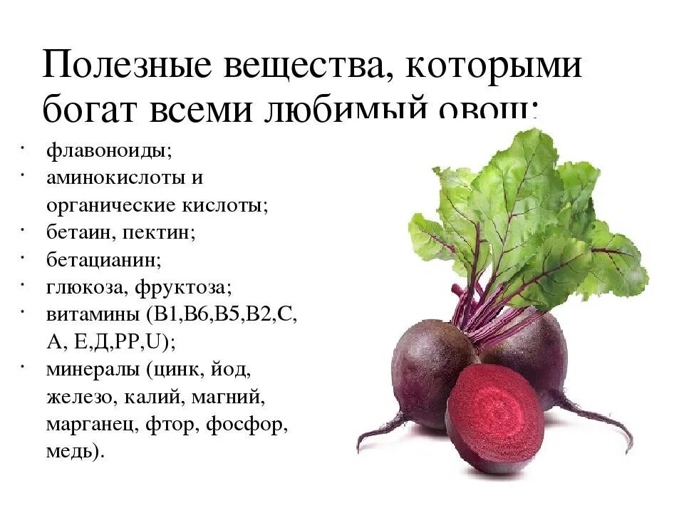 Отварная свекла польза и вред. Чем полезна свекла вареная для организма человека. Чем полезна свекла для организма. Чем полезна свекла. Полезные вещества в свекле.