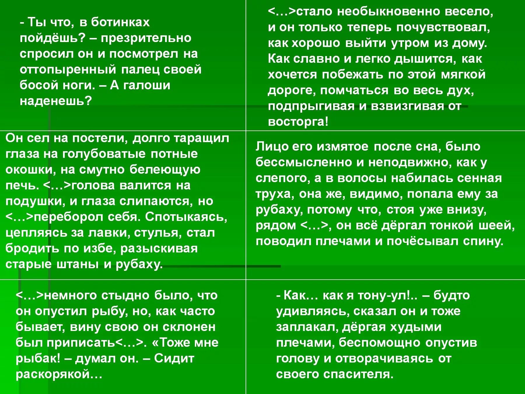 Что яшка советует надеть володе на рыбалку. Ю П Казаков тихое утро. Анализ рассказа ю.п.Казакова «тихое утро».. Яшка и Володя в рассказе Казакова тихое утро. Тихое утро анализ произведения.