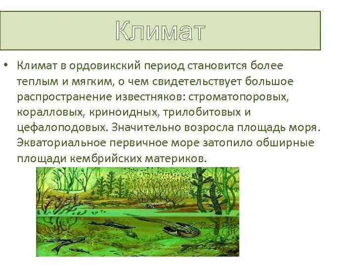 Климат периодов. Ордовский период Палеозойская Эра. Ордовикский период климат таблица. Ордовикский период. Палеозойская Эра ордовикский период климат.