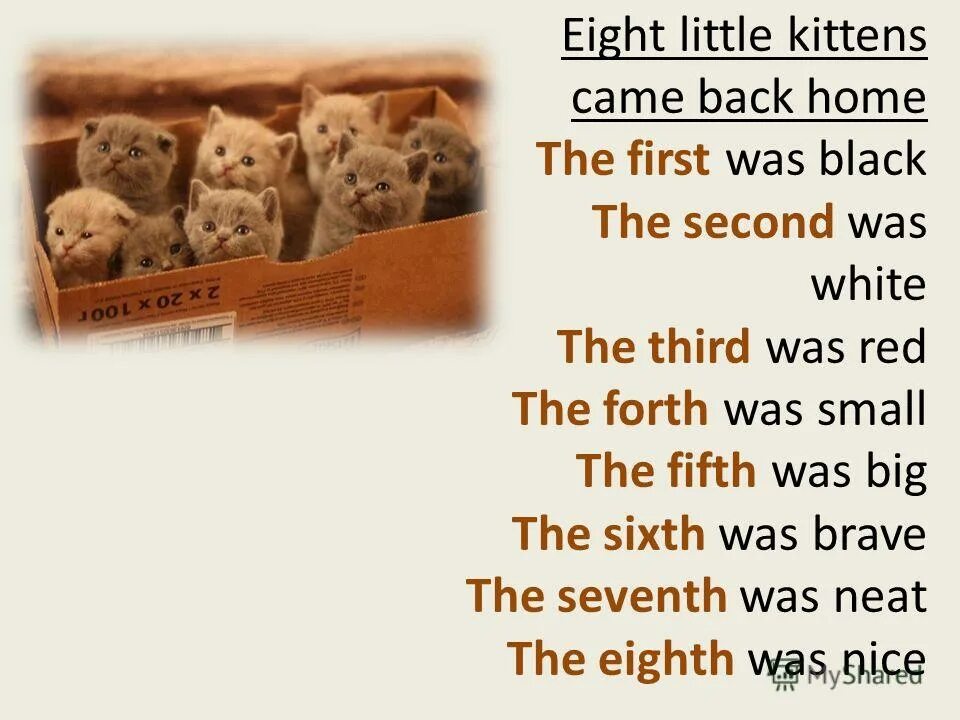 The first is a small. The first is a small