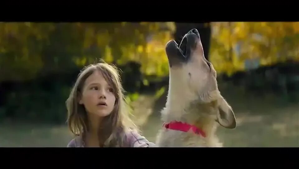 Волк фильм 2022. Волк трейлер 2021. Мой волк 2021. Волк трейлер 2021. Мой волк фильм 2021 трейлер.