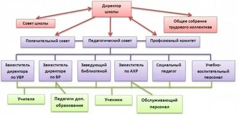 Устройство общеобразовательной школы
